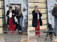 Mulher fica arrasada quando sofá dos sonhos é vendido no Marketplace e depois fica surpresa