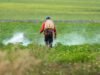 Gigante químico dos EUA encerra batalha legal sobre resíduos de pesticidas ligados ao risco de câncer