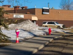 MAGA reage ao atirador da escola Jesse Van Rutselaer se identifica como trans