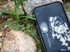 Caso Nancy Guthrie: A polícia está trabalhando na descrição do homem mascarado