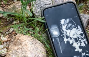 Caso Nancy Guthrie: A polícia está trabalhando na descrição do homem mascarado