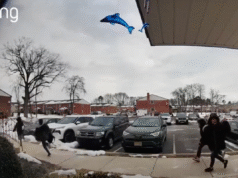 Imagens aterrorizantes mostram crianças aterrorizadas fugindo do ponto de ônibus de Nova Jersey enquanto a escola culpa a operação federal próxima
