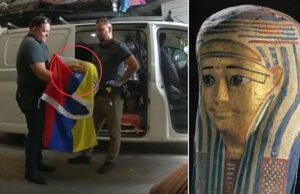 Homem acusado de supostamente roubar artefatos egípcios de valor inestimável do Museu de Queensland