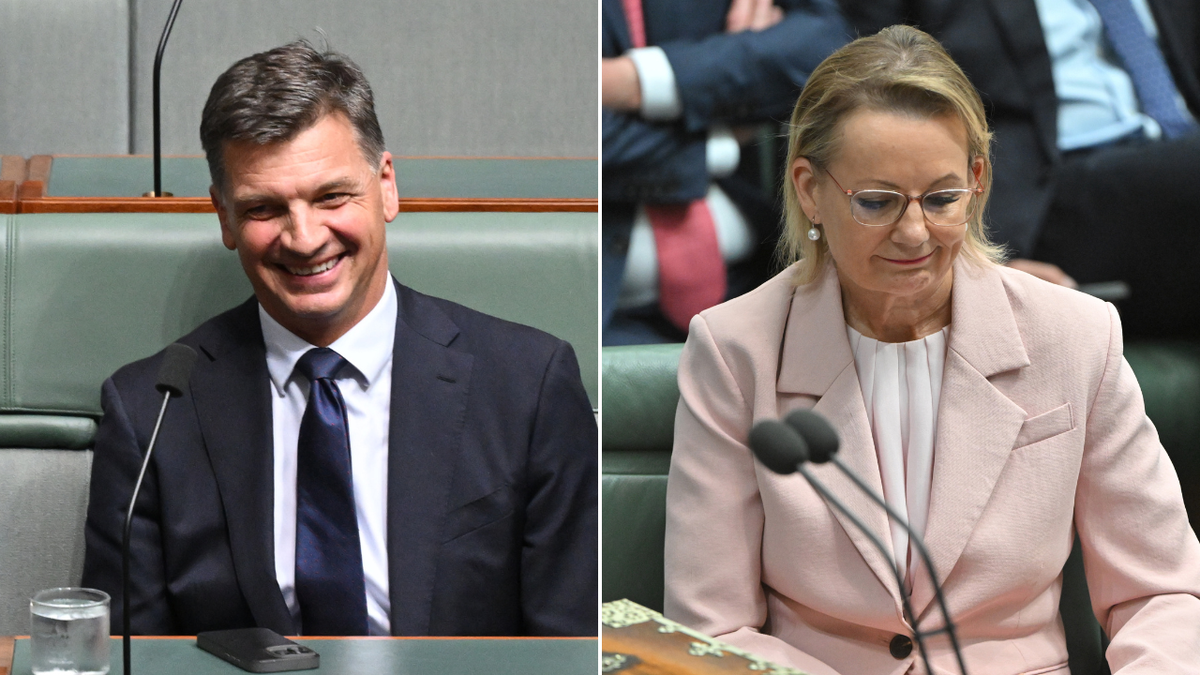 Angus Taylor torna-se líder do Partido Liberal após Susan Leigh ser destituída