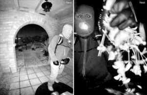 DNA retirado de luva encontrada perto da casa de Nancy Guthrie, pois o FBI acredita que pode ser suspeito visto na câmera da campainha