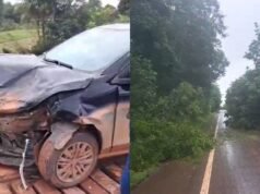 Colisões de veículos e queda de árvores em duas rodovias afetam trânsito no Amapá