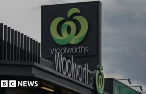 Clientes dizem que chatbot de IA ‘ofensivo’ fala sobre sua mãe