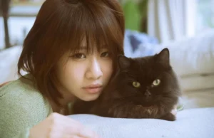 O cosplayer Ruru-sama observa o gato diva Lúcifer em preparação para sua estreia no cinema em Luck My Life