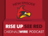 Probabilidades dos Cardinals no Super Bowl após a vitória dos Seahawks, situação do QB analisada