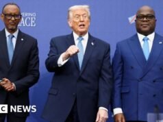 Um lugar à mesa ou no menu? África está a braços com a nova ordem mundial