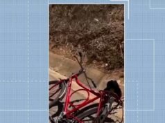 Ciclista morre após atropelamento na AL-115, em Palmeira dos Índios