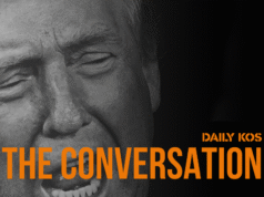 Os conservadores realmente não gostam uns dos outros