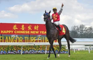Sempre um cavalheiro consegue o que quer no Wilaya Silver Bowl em Kuala Lumpur