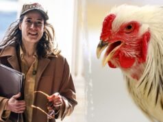 Colegas de quarto ‘horrorizados’ depois que House Dame remove cabeça de galinha ‘serrilhada’, diz podcast