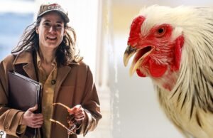 Colegas de quarto ‘horrorizados’ depois que House Dame remove cabeça de galinha ‘serrilhada’, diz podcast