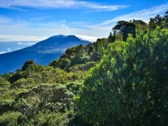 Costa Rica: o ecoparaíso democrático da América Central