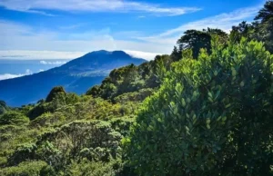 Costa Rica: o ecoparaíso democrático da América Central