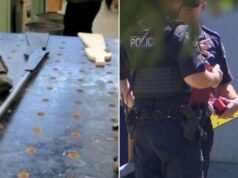 Três escolas do sul da Austrália foram bloqueadas com armas de madeira