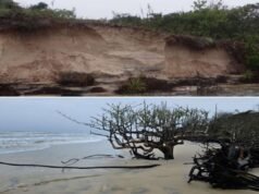 Justiça obriga estado de SP a estudar erosão na Ilha do Cardoso