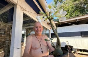 Memórias efetivas e tranquilidade na natureza: o que leva os veranistas a optarem pelo camping em vez das praias