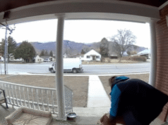 Cachorrinho cumprimenta o motorista da Amazon na varanda – Ring Cam captura o que acontece a seguir.