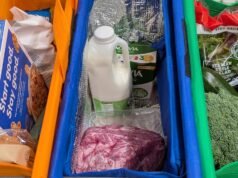 Minha nova obsessão: sacolas de compras inteligentes que podem ser penduradas no carrinho para facilitar a classificação.