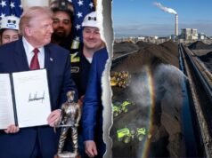 A compra de carvão militar por Trump enfrenta obstáculos nas regras de aquisição do Pentágono