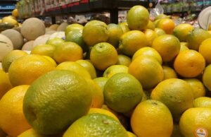 Laranjas: chuva reduz qualidade da fruta e esfria mercado paulista em janeiro, análise da USP