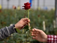 Uma pesquisa da Fox News descobriu que 60% dizem que o amor é possível apesar da divisão política