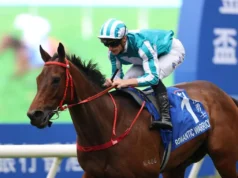 Guerreiro romântico a um passo da tríplice coroa