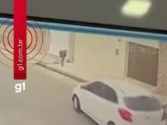 Motorista é flagrado atropelando cachorro em estrada de Campina Grande; vídeo