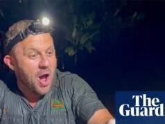 Descrença em relação ao crocodilo capturado em Newcastle Creek, a milhares de quilômetros de seu habitat natural. Crocodilo