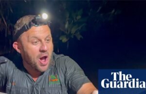 Descrença em relação ao crocodilo capturado em Newcastle Creek, a milhares de quilômetros de seu habitat natural. Crocodilo