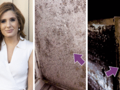 Opinião: O que deve acontecer agora? Surto de fungo mortal surgiu no Hospital Royal Prince Alfred de Sydney