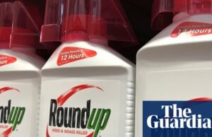 Advogados de vítimas de câncer nos EUA desafiam acordo de liquidação Roundup de US$ 7,25 bilhões da Bayer Bayer