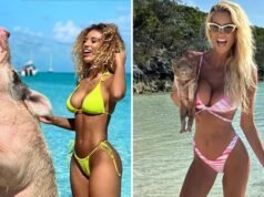 Celebridades comemoram o Dia Nacional do Porco