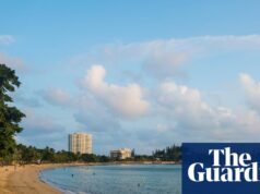 Caça ao tubarão provocada após ataque mortal provoca divisão e raiva na Nova Caledônia Nova Caledônia