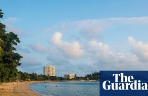 Caça ao tubarão provocada após ataque mortal provoca divisão e raiva na Nova Caledônia Nova Caledônia