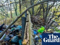 Despejo de moscas atinge recorde em todo o lixo da Inglaterra