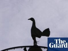 A UEFA atingiu o Spurs com uma partida de proibição de torcedores fora de casa por causa da saudação nazista ao Tottenham Hotspur