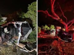 Procure por motorista de Melbourne após carro dividido em dois no acidente de Seabrook