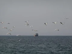 China pede aos países que protejam navios no Estreito de Ormuz