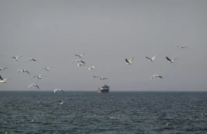 China pede aos países que protejam navios no Estreito de Ormuz