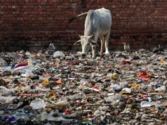 Negociações “informais” sobre tratado sobre poluição plástica começam no Japão
