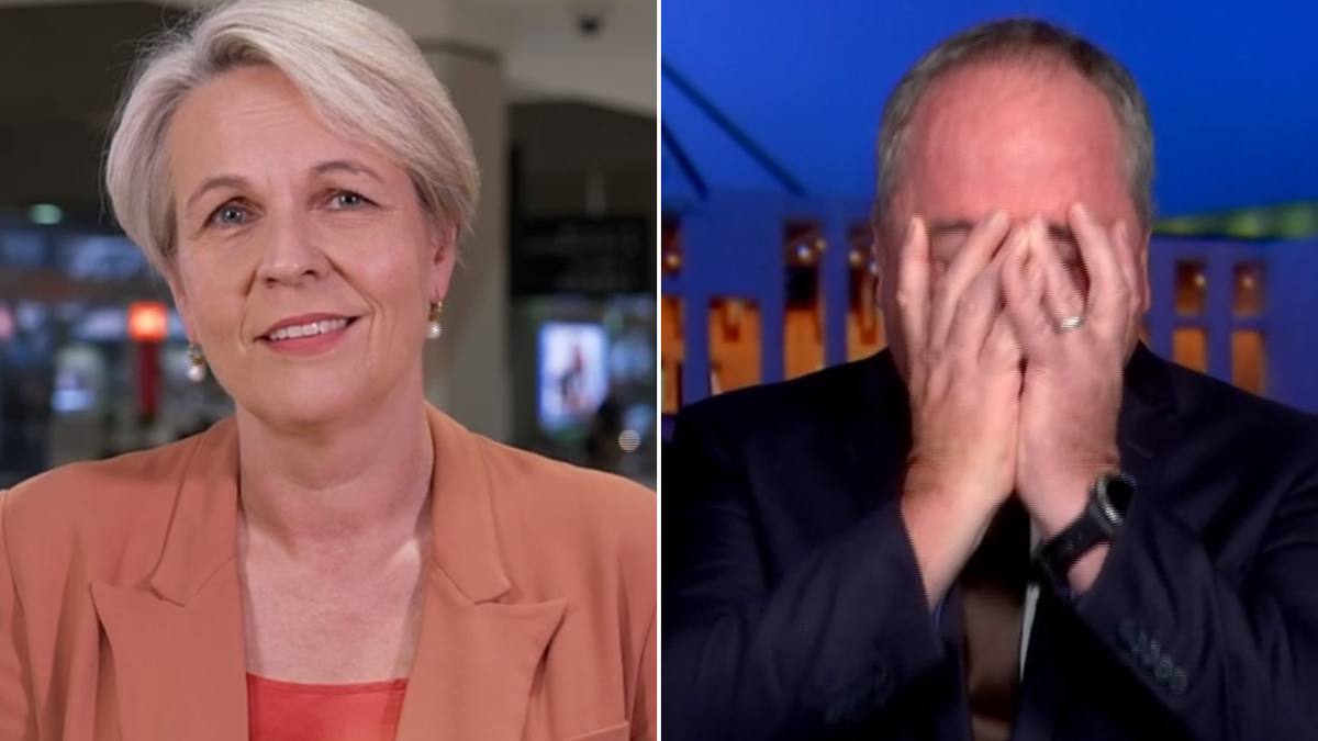 Barnaby Joyce e Tanya Plibersek entram em conflito sobre a segurança do combustível em meio à crise do Oriente Médio: ‘Infantil’ e ‘ridículo’