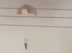 Um avião de guerra dos EUA que caiu no Kuwait foi abatido por “fogo amigo”.