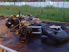 Motociclista morre após atropelar cavalo solto em rodovia de SP; Animais também morreram