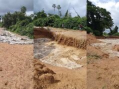 Vídeo: Após 8 meses de estiagem, água volta a fluir no Rio Piawi