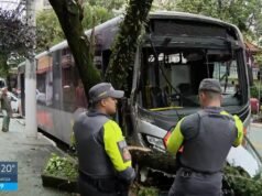 VÍDEO: Ônibus bate em árvore e deixa 6 feridos na Zona Oeste de SP