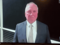 Entrevista com o cachorro Barnaby Joyce: One Nation MP entrevistado com o 730 da ABC